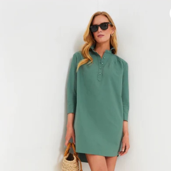 Pomander Place Green Polly Dress - Picture 1 of 11